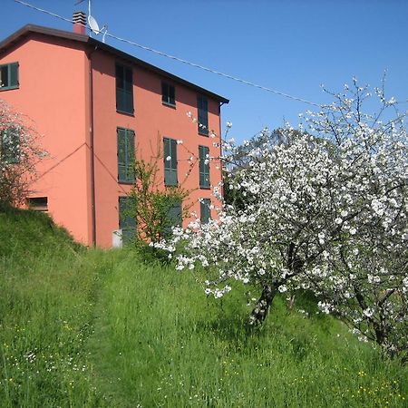 Agriturismo Casalino เบเวรีโน ภายนอก รูปภาพ