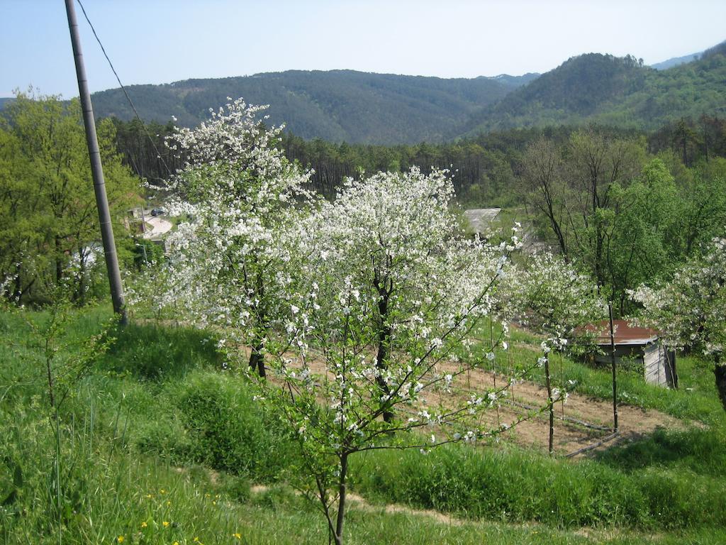 Agriturismo Casalino เบเวรีโน ภายนอก รูปภาพ
