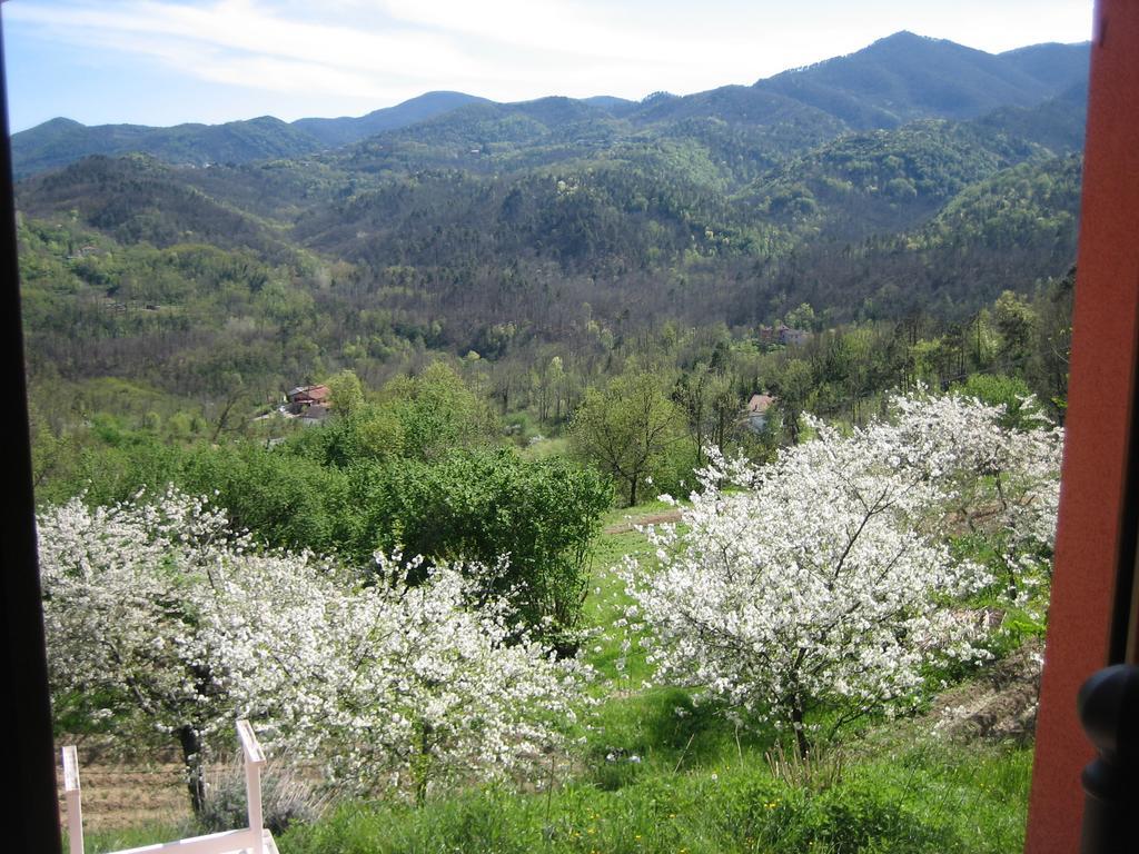 Agriturismo Casalino เบเวรีโน ภายนอก รูปภาพ