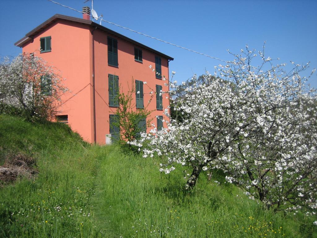Agriturismo Casalino เบเวรีโน ภายนอก รูปภาพ